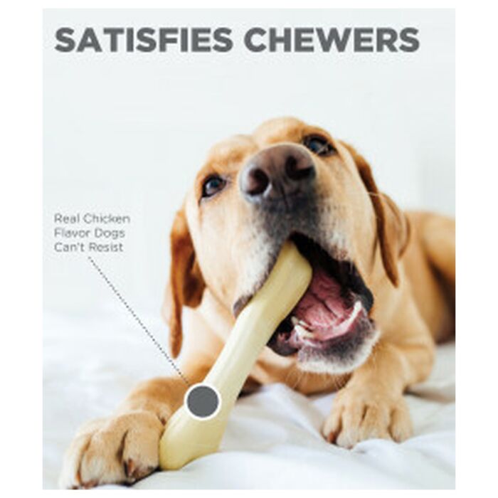 Petstages Dog Toy - Chick-A-Bone Medium (Chicken Flavor)