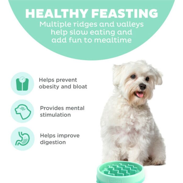 Outward Hound Fun Feeder Slo Bowl - Mint Wave X-Small