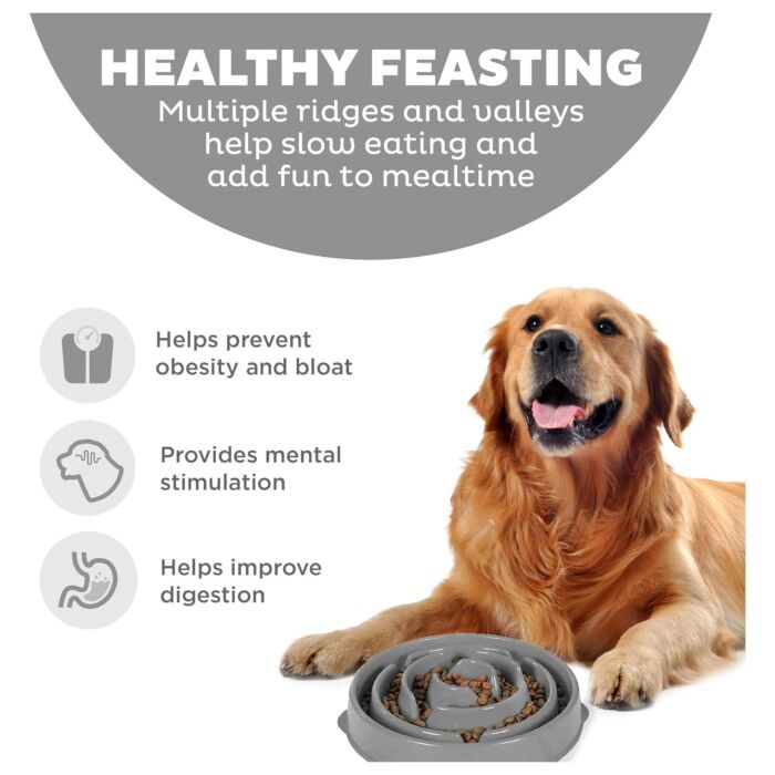 Outward Hound Fun Feeder Slo Bowl Drop - Gray Large