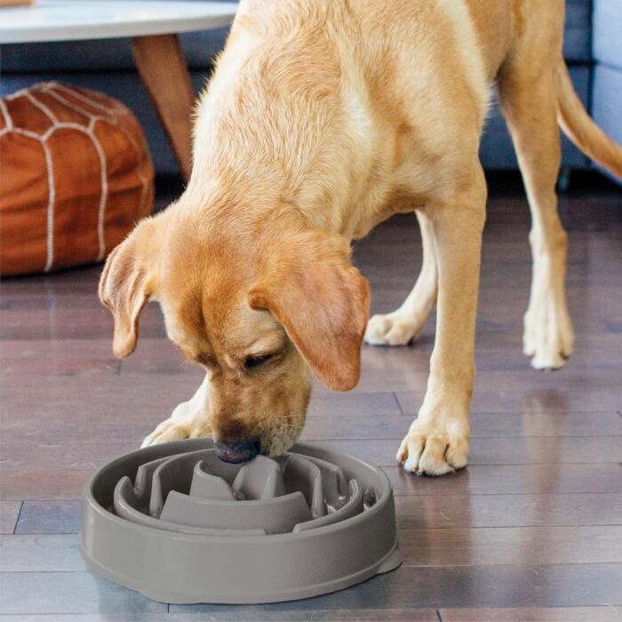 Outward Hound Fun Feeder Slo Bowl Drop - Gray Large