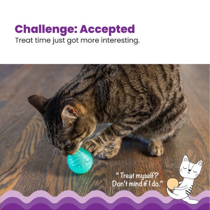 Petstages Cat Toy - Ball Treat Stuffer