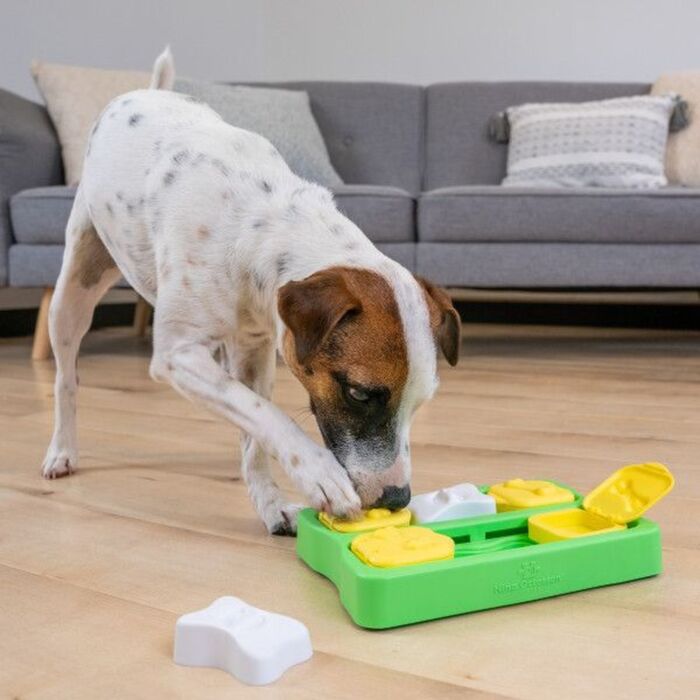 Nina Ottosson Dog Toy - Puppy Brick (Level 2)