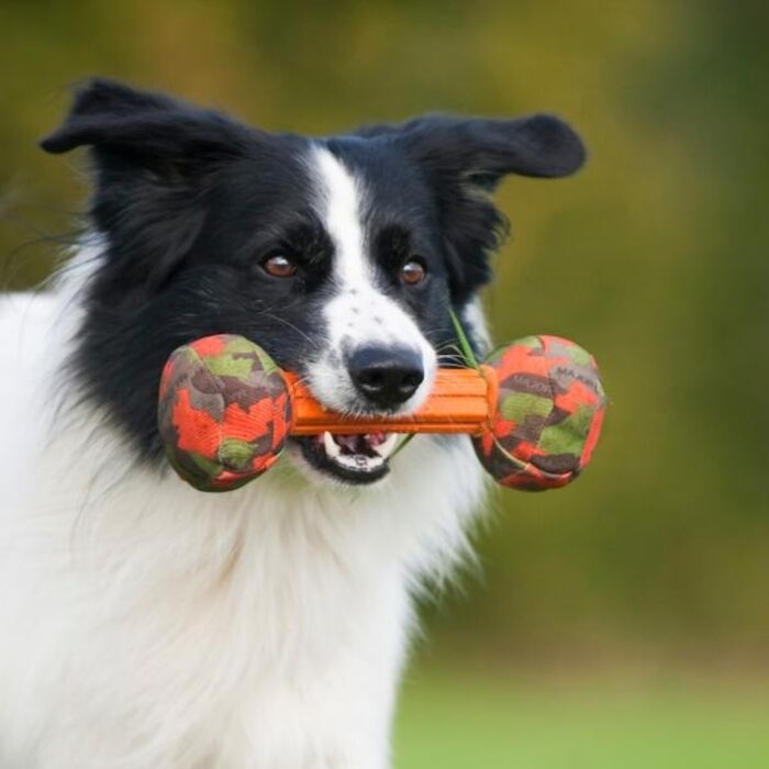 Major Dog Toy - Mobby Dog