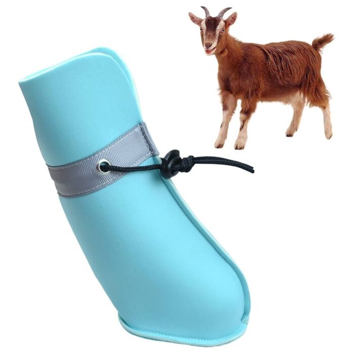 Merrimore Dog Treat - Air Dried Goat Leg with Hoof (2pcs)
