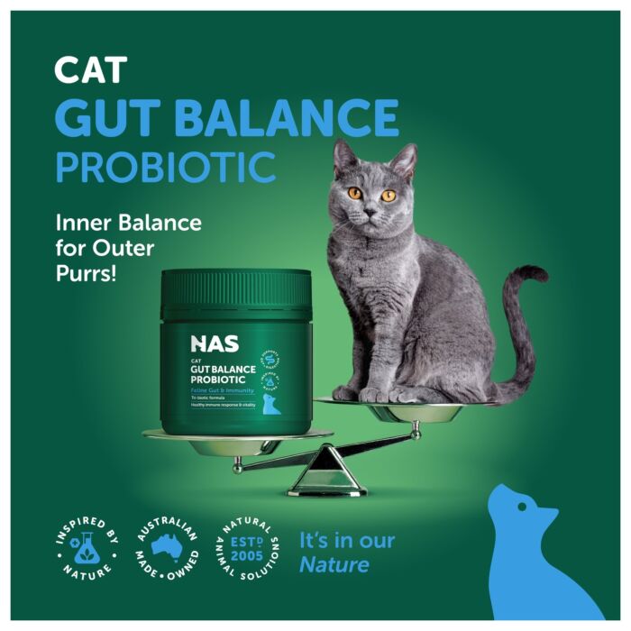 Natural Animal Solutions (澳洲NAS) 腸道平衡益生菌粉劑 支持腸道健康、消化平衡、免疫力 (貓咪專用) 80g