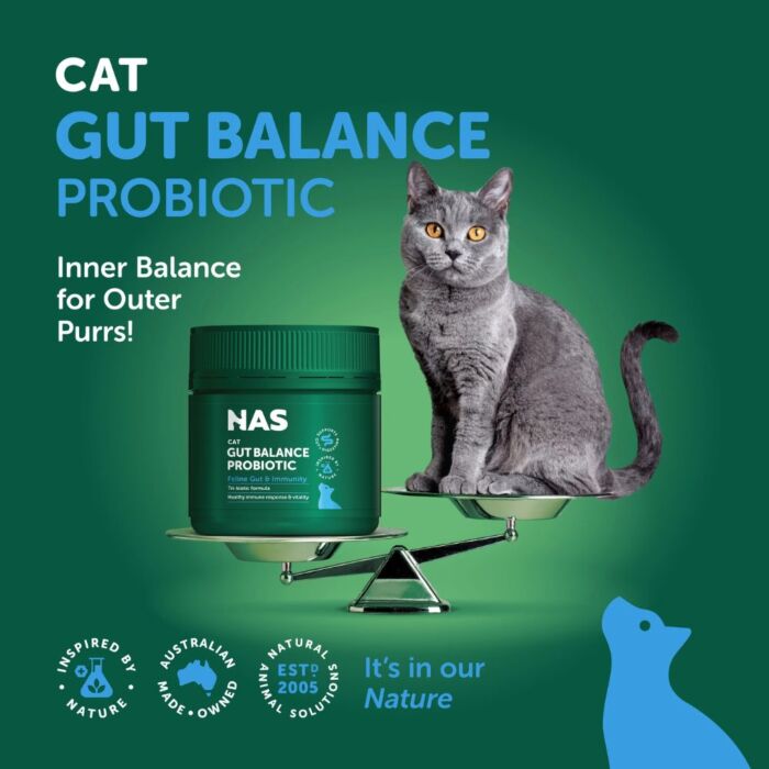 Natural Animal Solutions (澳洲NAS) 腸道平衡益生菌粉劑 支持腸道健康、消化平衡、免疫力 (貓咪專用) 80g