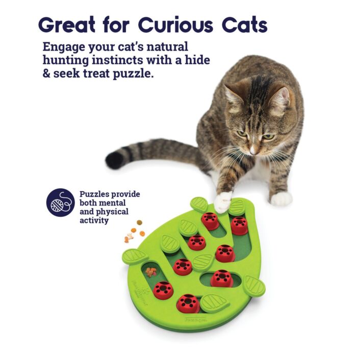 Nina Ottosson Cat Toy - Buggin' Out Puzzle & Play (Level 2)
