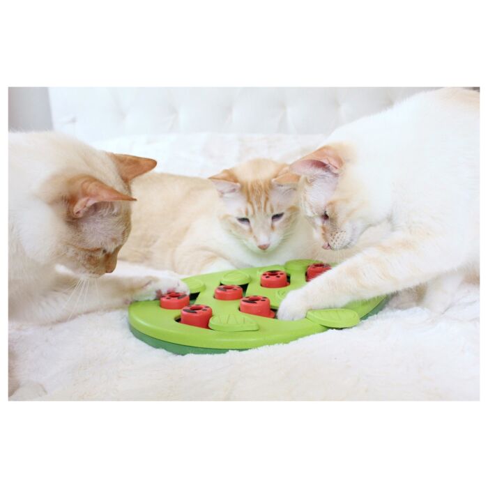 Nina Ottosson Cat Toy - Buggin' Out Puzzle & Play (Level 2)