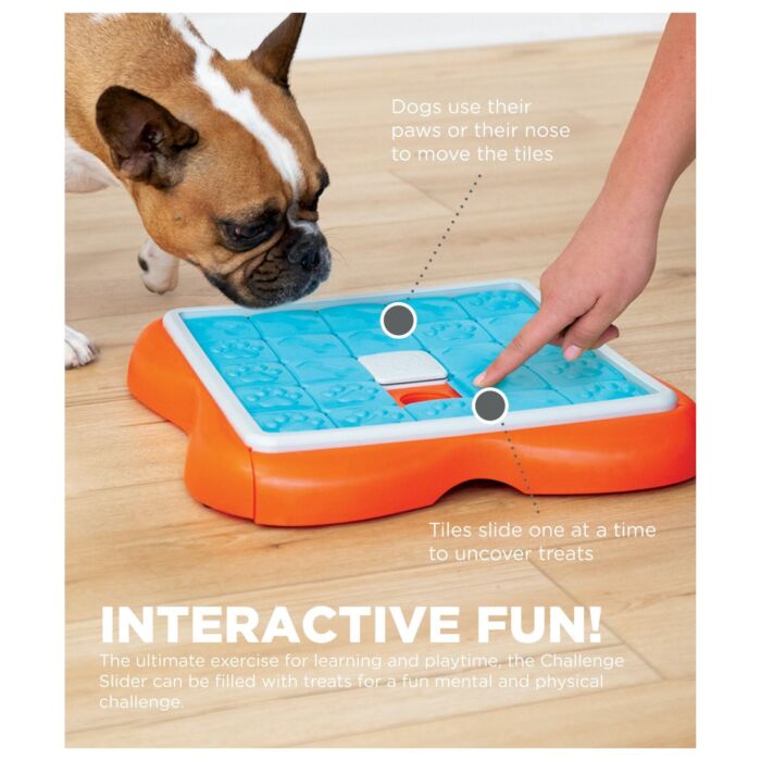 Nina Ottosson Dog Toy - Challenge Slider (Level 3)