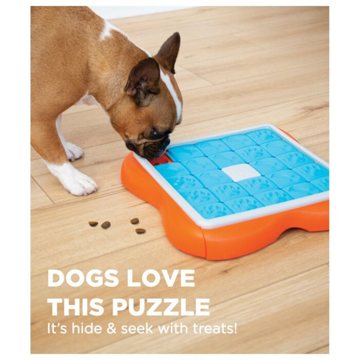 Nina Ottosson Dog Toy - Challenge Slider (Level 3)