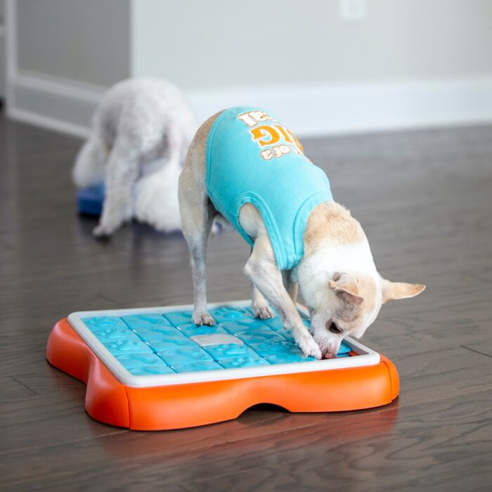 Nina Ottosson Dog Toy - Challenge Slider (Level 3)