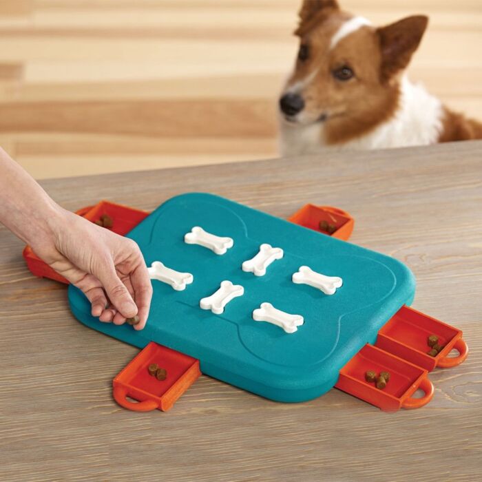 Nina Ottosson Dog Toy - Dog Casino (Level 3)
