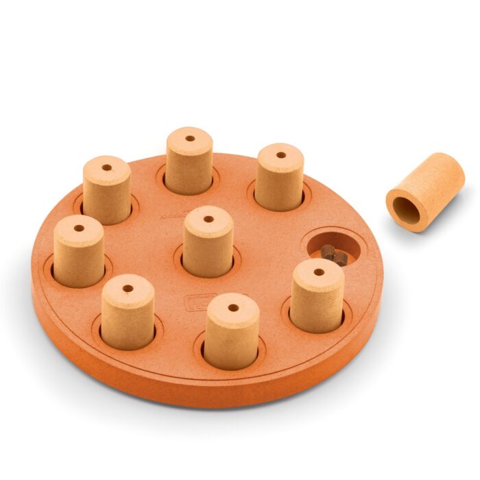 Nina Ottosson Dog Toy - Dog Smart (Level 1)