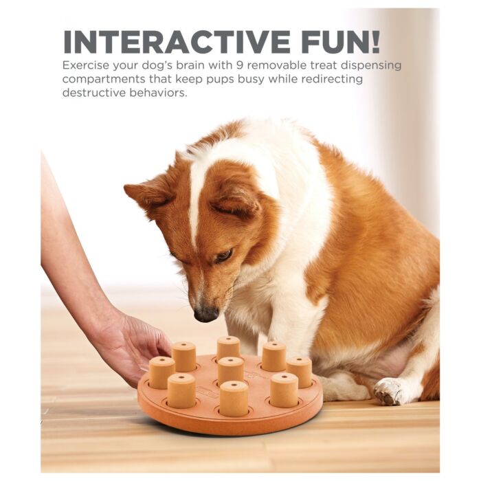 Nina Ottosson Dog Toy - Dog Smart (Level 1)