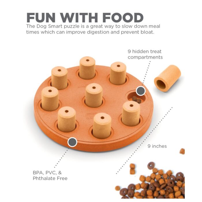 Nina Ottosson Dog Toy - Dog Smart (Level 1)
