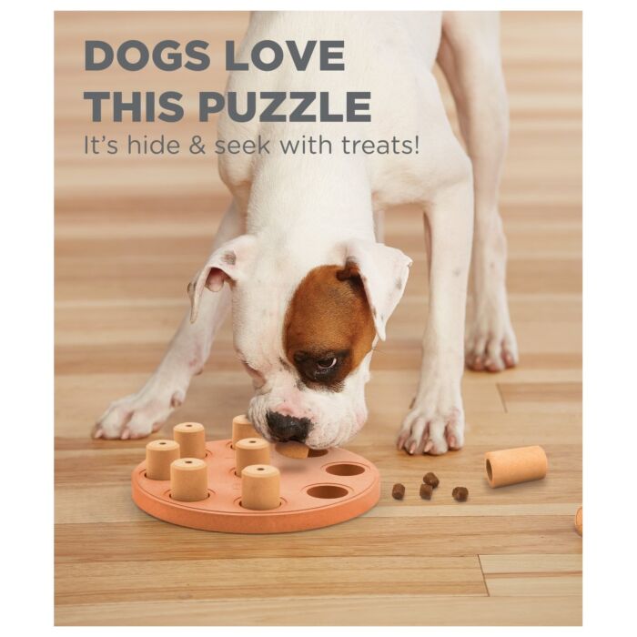 Nina Ottosson Dog Toy - Dog Smart (Level 1)
