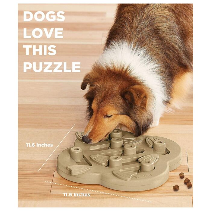 Nina Ottosson Dog Toy - Hide N' Slide (Level 2)