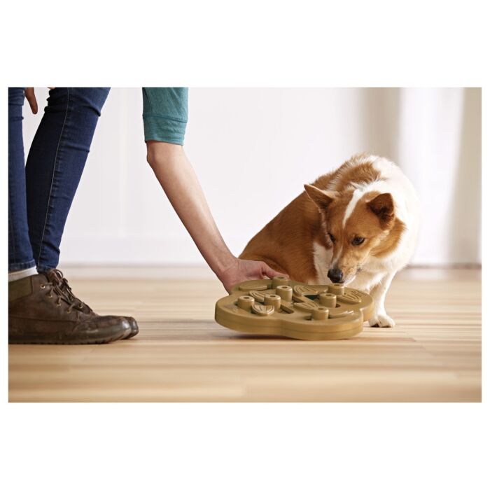 Nina Ottosson Dog Toy - Hide N' Slide (Level 2)