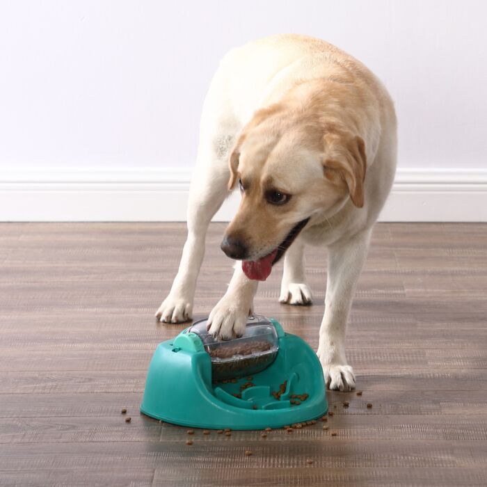 Nina Ottosson Dog Toy - Spin N' Eat (Level 2)