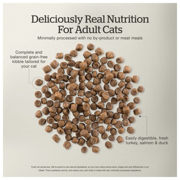 Now Fresh Cat Food - Adult - Grain Free Turkey Salmon & Duck