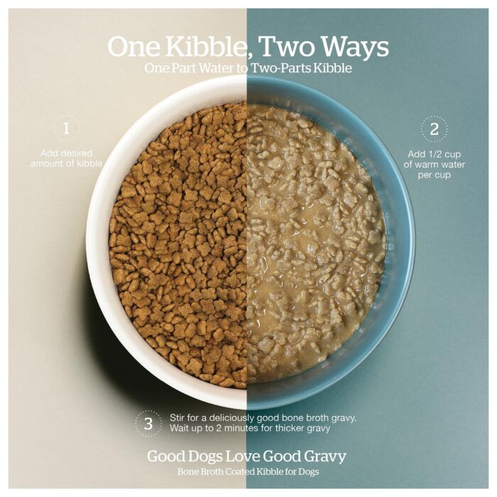 Now Fresh Dog Food - Small Breed Adult - Good Gravy - Salmon Coated in Bone Broth
