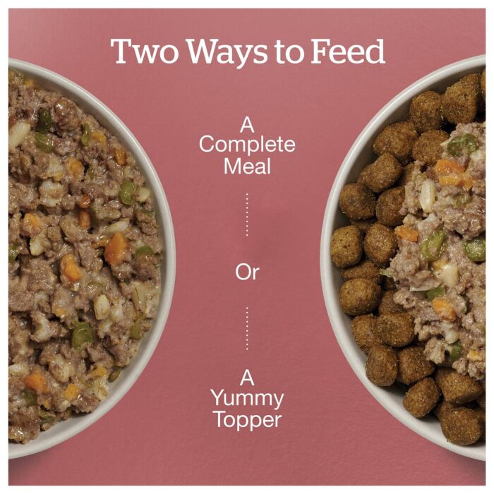 Now Fresh Dog Pouch - Beef & Rice Dinner 2.8oz | 79g