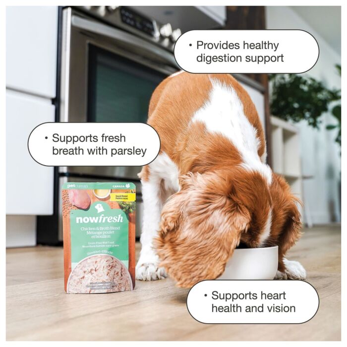 Now Fresh Dog Pouch - Small Breed Shredded Chicken & Broth Blend 2.8oz | 79g