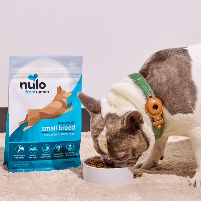 Nulo Dog Food - FrontRunner Small Breeds - Turkey Whitefish & Quinoa