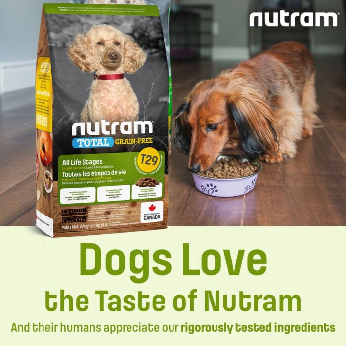 Nutram 狗糧 - T29 無穀物 - 小型及玩具犬 - 羊肉及扁豆