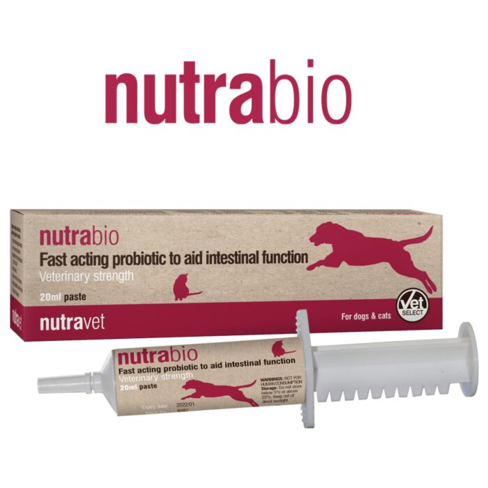 Nutrabio Fast Acting Probiotic Paste for Dogs & Cats 20ml