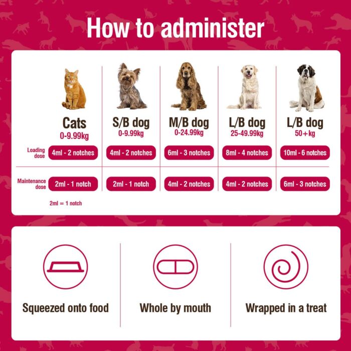 Nutrabio Fast Acting Probiotic Paste for Dogs & Cats 20ml