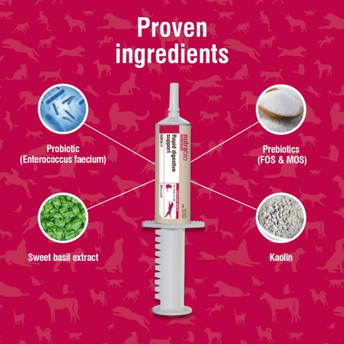 Nutrabio Fast Acting Probiotic Paste for Dogs & Cats 20ml