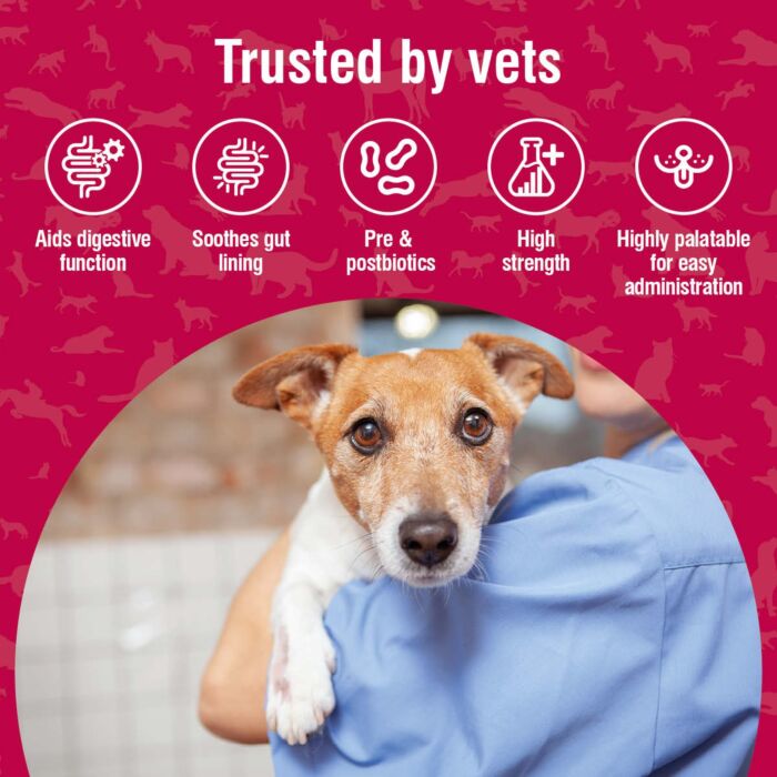 Nutrabio Fast Acting Probiotic Paste for Dogs & Cats 20ml