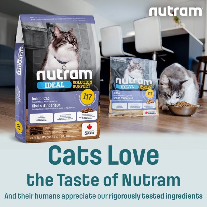 試食裝 Nutram 加拿大紐頓貓乾糧 - I17 室內控制掉毛配方 100g