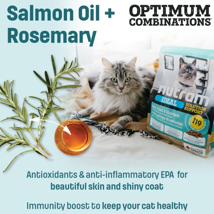 Trial Pack Nutram Cat Food - I19 Ideal - Skin Coat & Stomach 100g