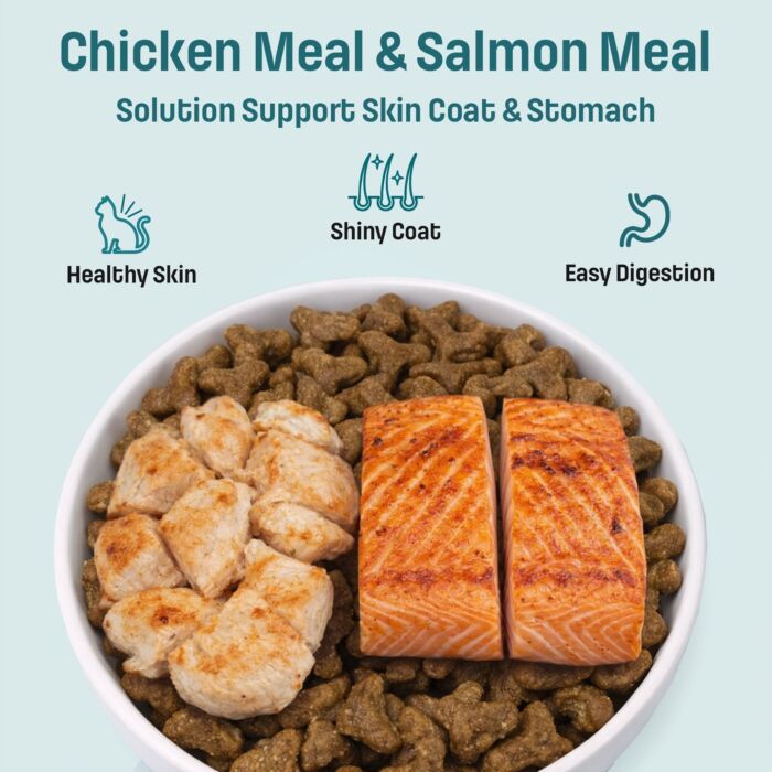 Trial Pack Nutram Cat Food - I19 Ideal - Skin Coat & Stomach 100g