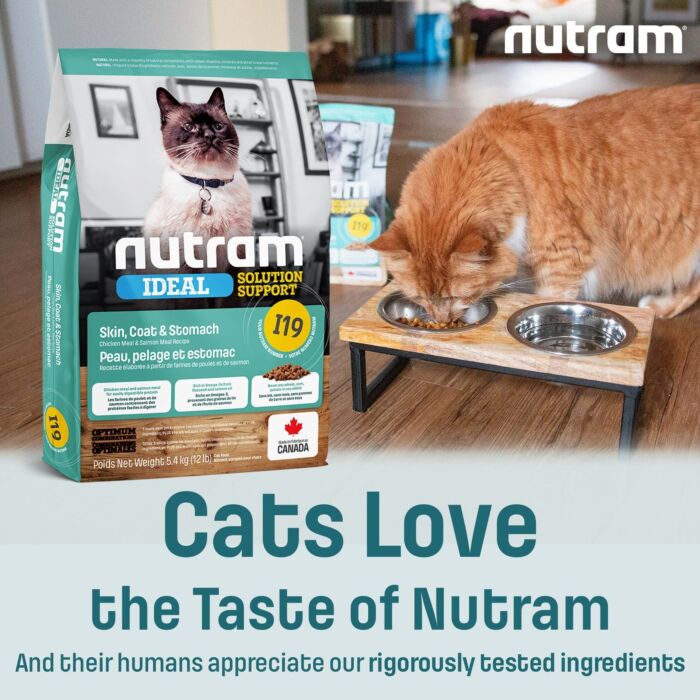 Trial Pack Nutram Cat Food - I19 Ideal - Skin Coat & Stomach 100g