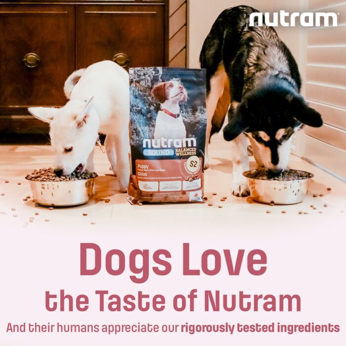 Nutram 加拿大紐頓狗乾糧 - S2 - 幼犬配方