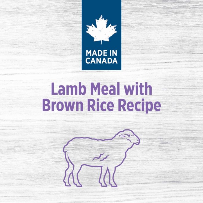 Nutrience Dog Food - Original Medium Breed - Lamb & Brown Rice 25lb