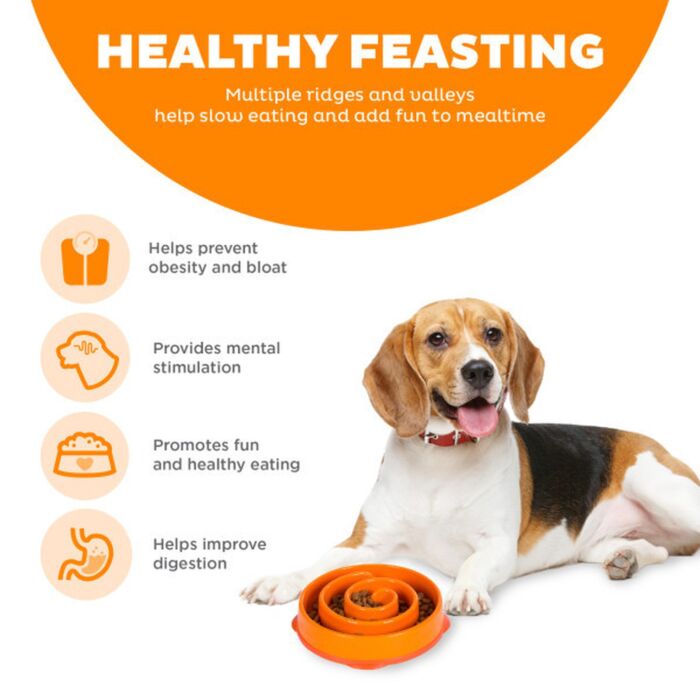 Outward Hound 好玩慢食碗（橙）（中）
