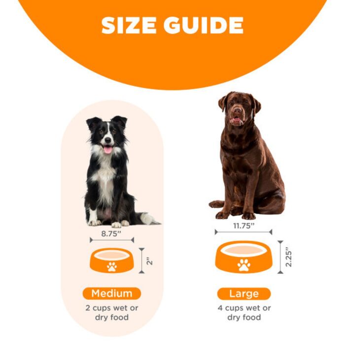 Outward Hound 好玩慢食碗（橙）（中）