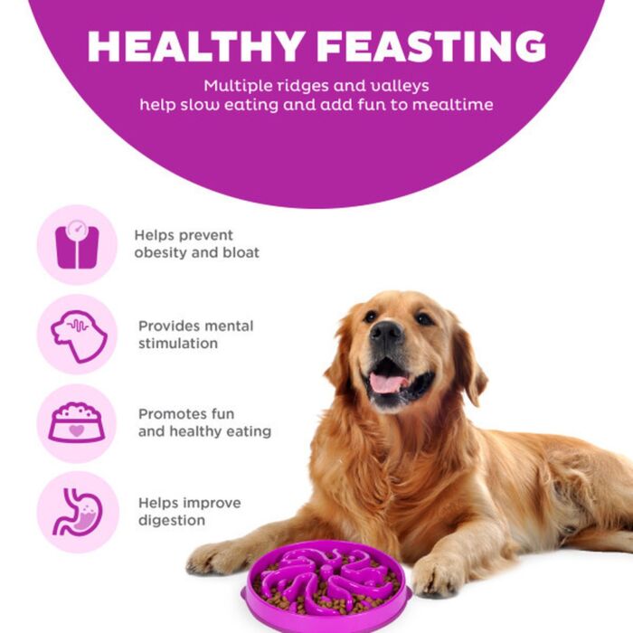 Outward Hound Fun Feeder Slo Bowl - Purple Flower Large