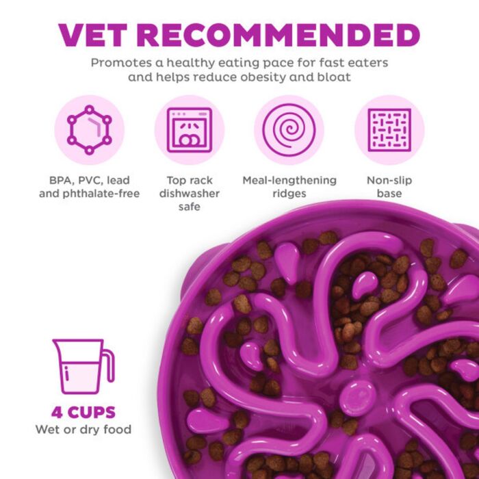 Outward Hound Fun Feeder Slo Bowl - Purple Flower Large