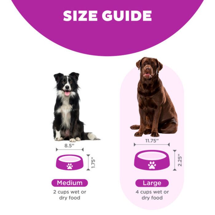 Outward Hound Fun Feeder Slo Bowl - Purple Flower Large