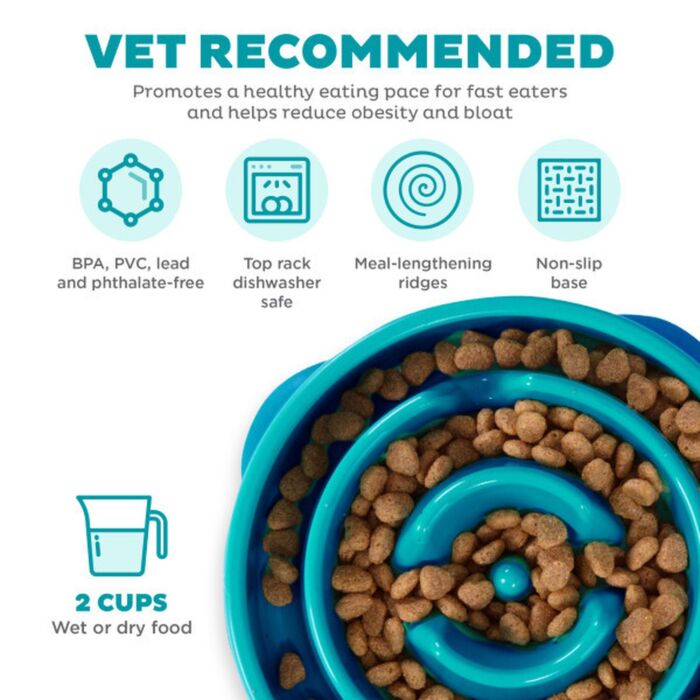Outward Hound Fun Feeder Slo Bowl - Teal Large
