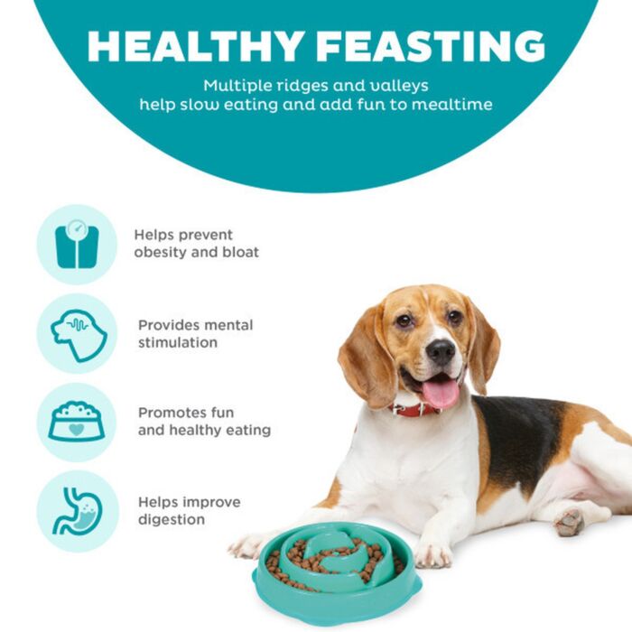 Outward Hound Fun Feeder Slo Bowl - Teal Large