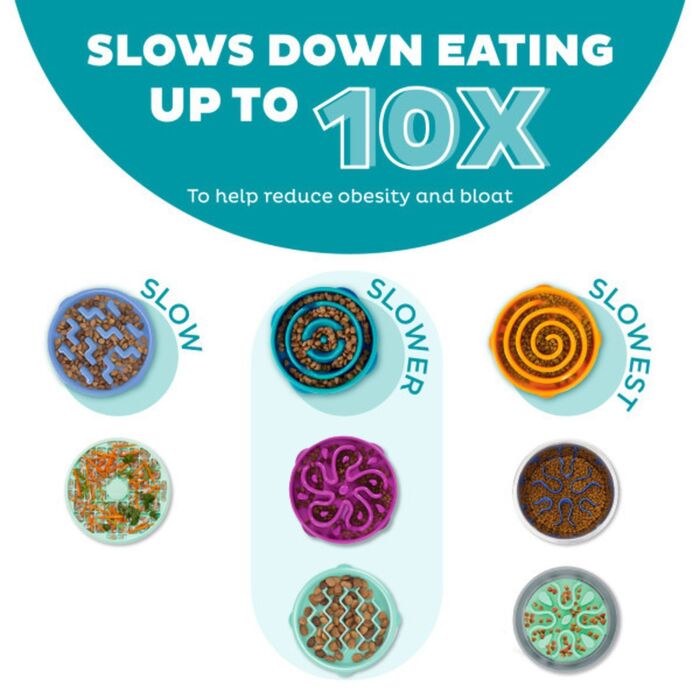Outward Hound Fun Feeder Slo Bowl - Teal Large