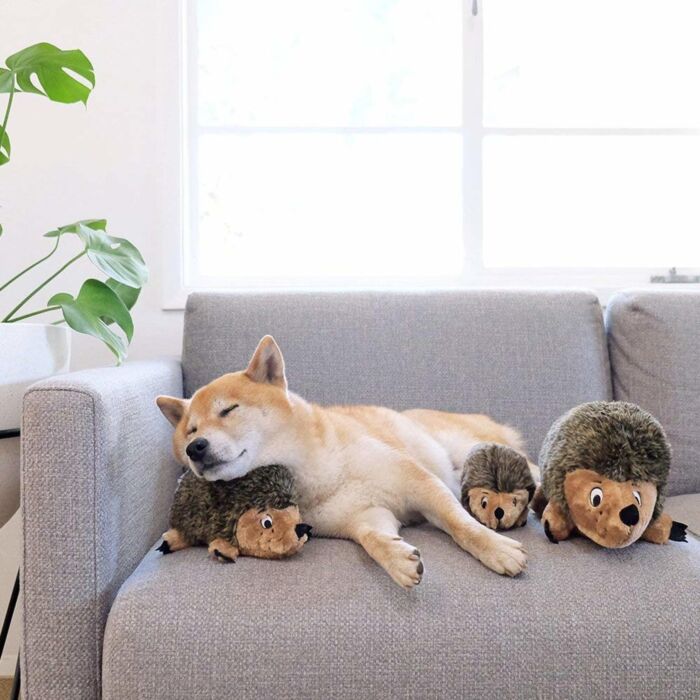 Outward Hound 狗玩具 - 發聲軟毛刺蝟（小）