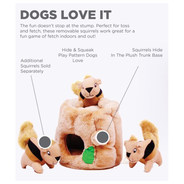 Outward Hound Dog Toy - Hide-A-Squirrel Small