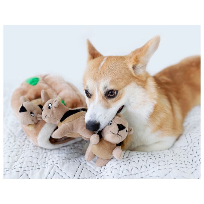 Outward Hound Dog Toy - Hide-A-Squirrel Small